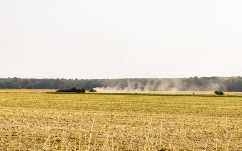 Ackerflächen im Sommer, im Hintegrund ein Traktor mit einer langen Staubwolke hinter sich.