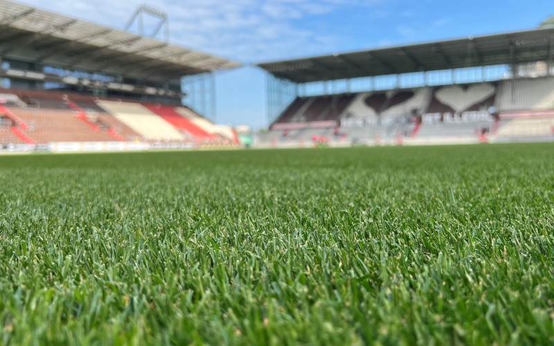Bild vom Innernen eines Fußballstadions: Im Vordergrund die Grashalme des RTasens, im Hintergrund die Tribünen