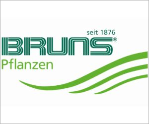 Bruns - Bayern